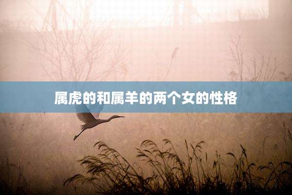 属虎的和属羊的两个女的性格