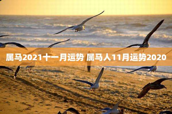 属马2021十一月运势 属马人11月运势2020
