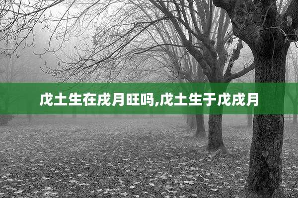 戊土生在戌月旺吗,戊土生于戊戌月
