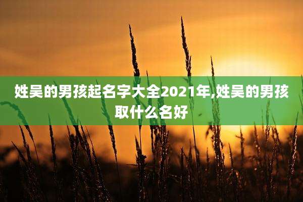 姓吴的男孩起名字大全2021年,姓吴的男孩取什么名好