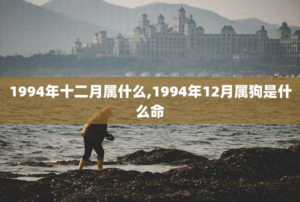 1994年十二月属什么,1994年12月属狗是什么命