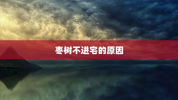 枣树不进宅的原因