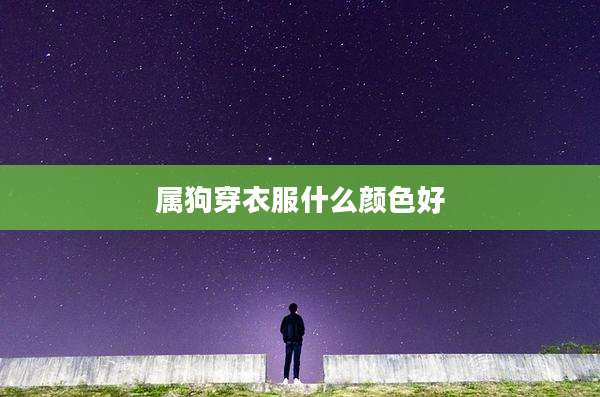 属狗穿衣服什么颜色好