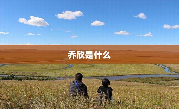 乔欣是什么