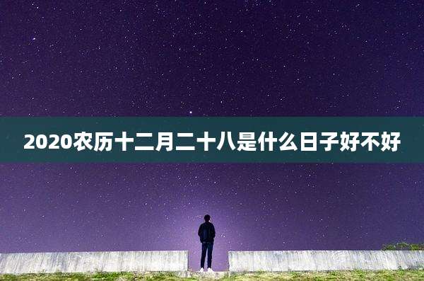 2020农历十二月二十八是什么日子好不好