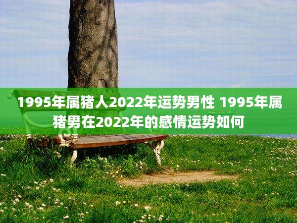1995年属猪人2022年运势男性 1995年属猪男在2022年的感情运势如何
