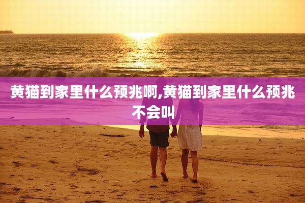 黄猫到家里什么预兆啊,黄猫到家里什么预兆不会叫
