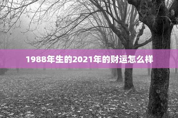 1988年生的2021年的财运怎么样