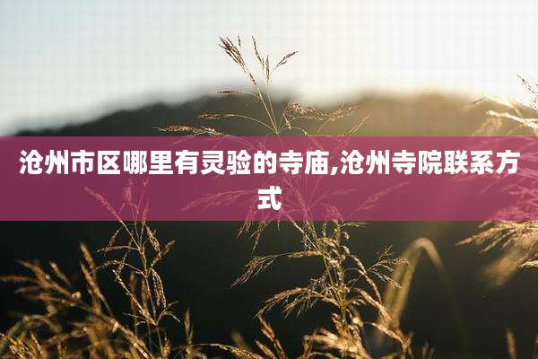 沧州市区哪里有灵验的寺庙,沧州寺院联系方式