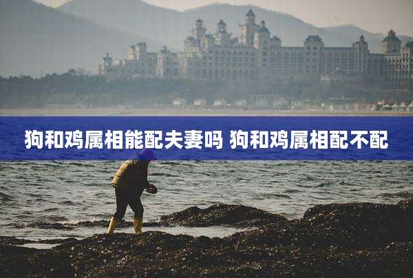 狗和鸡属相能配夫妻吗 狗和鸡属相配不配