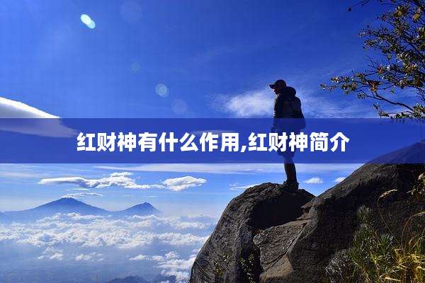 红财神有什么作用,红财神简介