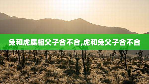 兔和虎属相父子合不合,虎和兔父子合不合