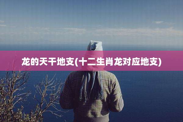 龙的天干地支(十二生肖龙对应地支)