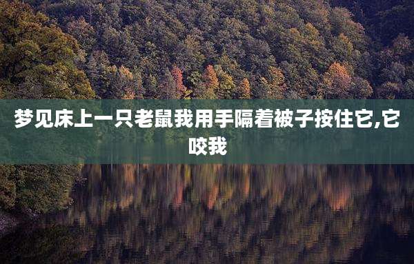 梦见床上一只老鼠我用手隔着被子按住它,它咬我