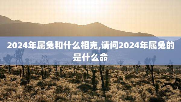 2024年属兔和什么相克,请问2024年属兔的是什么命
