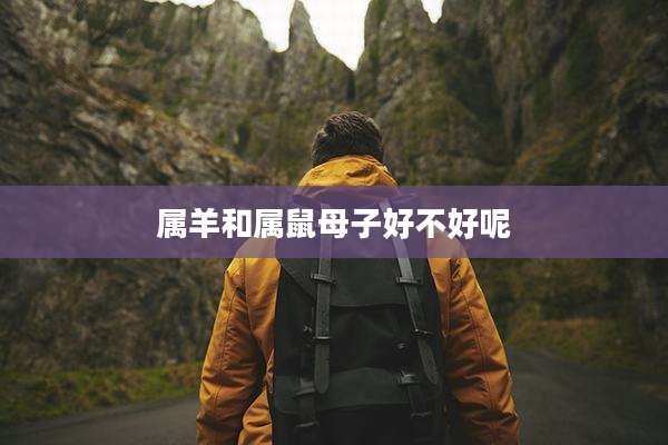 属羊和属鼠母子好不好呢