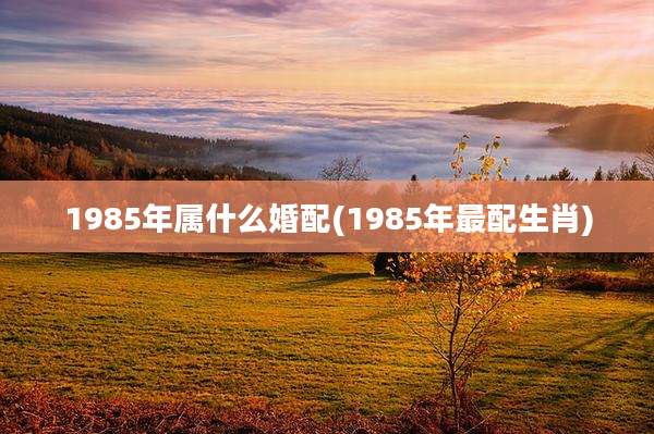 1985年属什么婚配(1985年最配生肖)