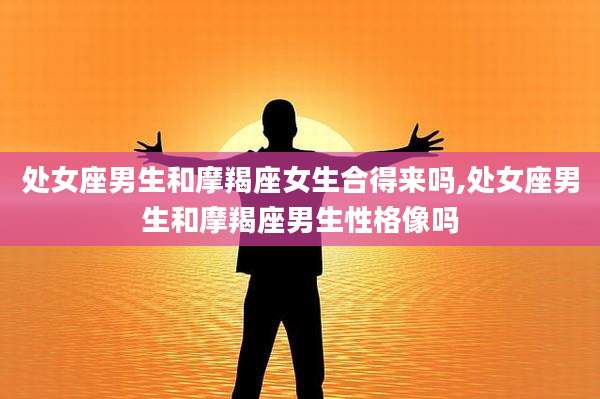 处女座男生和摩羯座女生合得来吗,处女座男生和摩羯座男生性格像吗