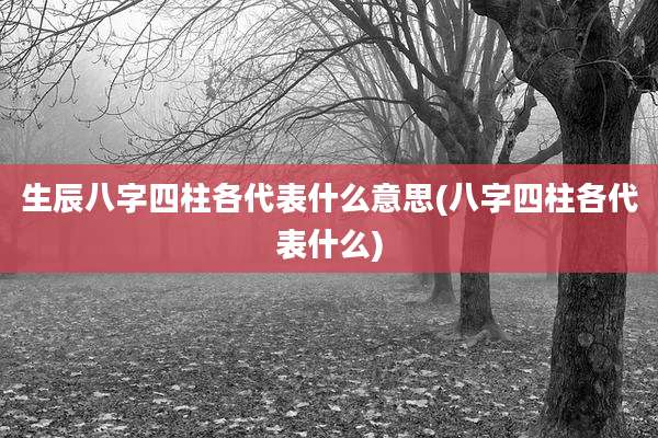 生辰八字四柱各代表什么意思(八字四柱各代表什么)