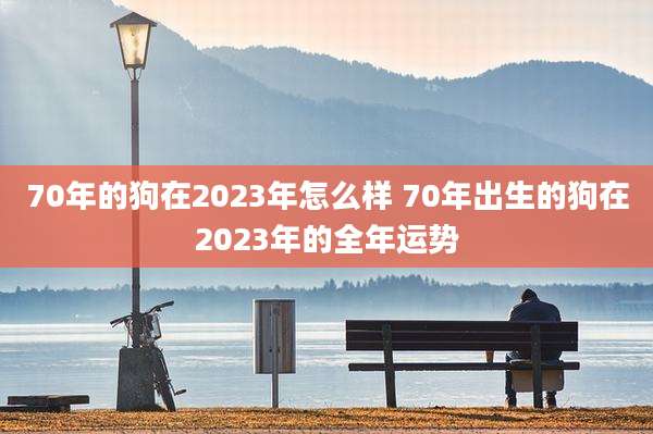 70年的狗在2023年怎么样 70年出生的狗在2023年的全年运势