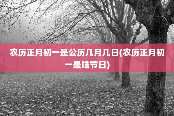 农历正月初一是公历几月几日(农历正月初一是啥节日)