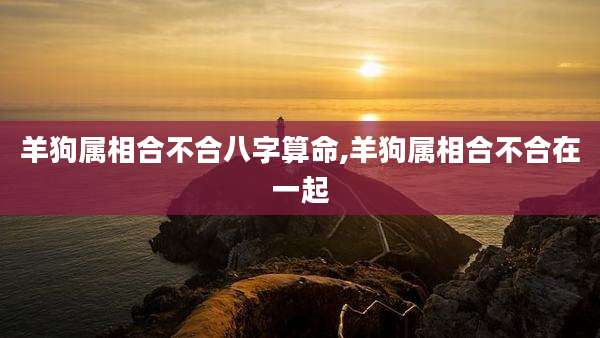 羊狗属相合不合八字算命,羊狗属相合不合在一起