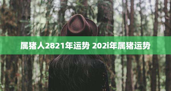 属猪人2821年运势 202i年属猪运势