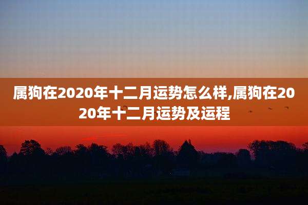 属狗在2020年十二月运势怎么样,属狗在2020年十二月运势及运程