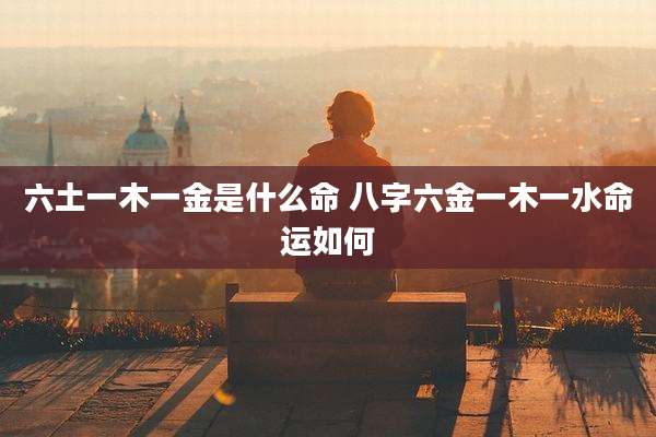 六土一木一金是什么命 八字六金一木一水命运如何