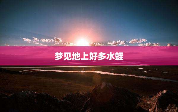 梦见地上好多水蛭