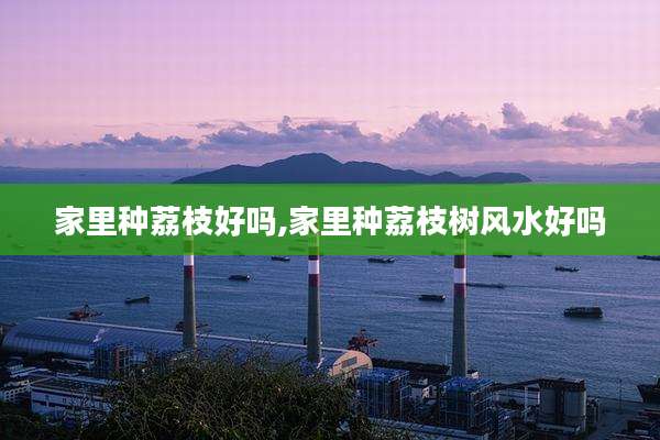 家里种荔枝好吗,家里种荔枝树风水好吗