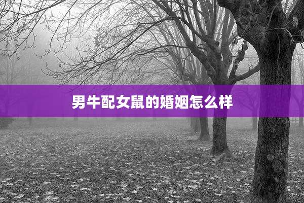 男牛配女鼠的婚姻怎么样