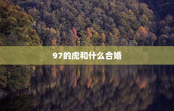 97的虎和什么合婚