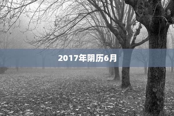 2017年阴历6月