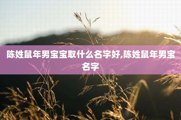 陈姓鼠年男宝宝取什么名字好,陈姓鼠年男宝名字