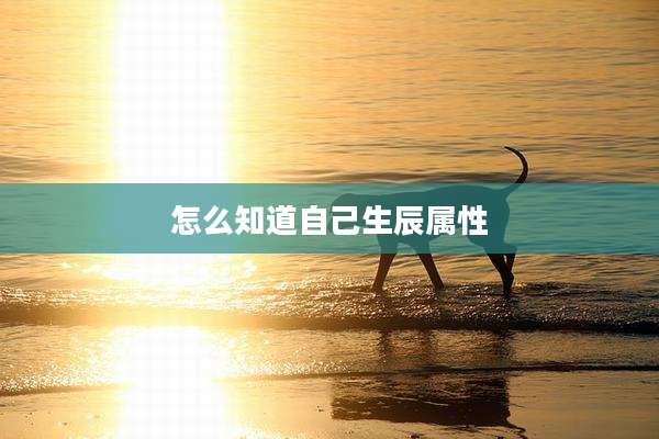怎么知道自己生辰属性