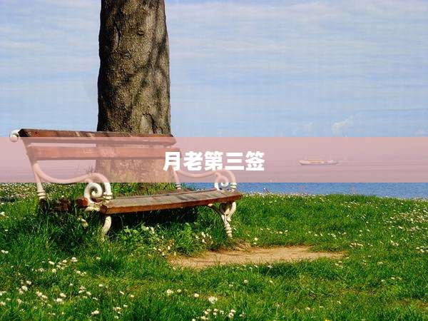 月老第三签