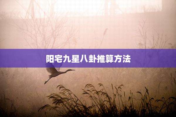 阳宅九星八卦推算方法