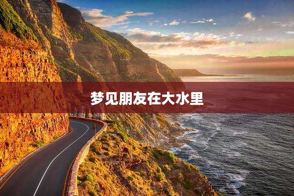 梦见朋友在大水里