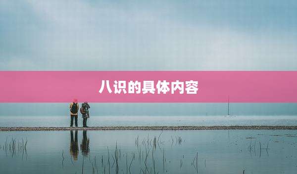 八识的具体内容