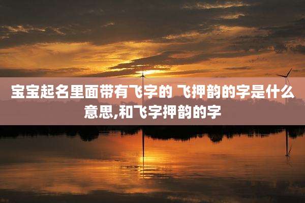 宝宝起名里面带有飞字的 飞押韵的字是什么意思,和飞字押韵的字