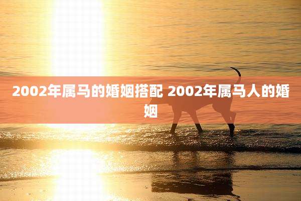 2002年属马的婚姻搭配 2002年属马人的婚姻