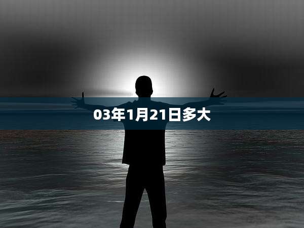 03年1月21日多大