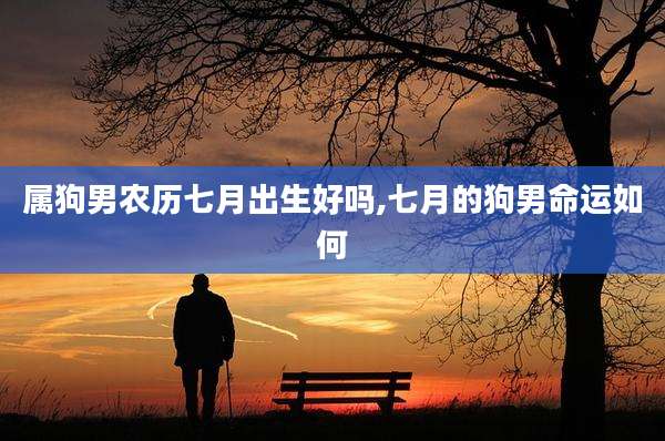 属狗男农历七月出生好吗,七月的狗男命运如何