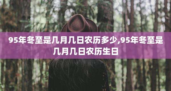 95年冬至是几月几日农历多少,95年冬至是几月几日农历生日