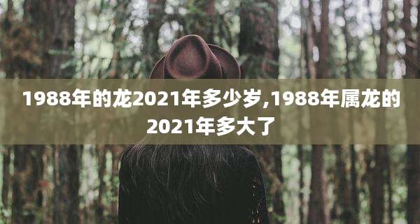 1988年的龙2021年多少岁,1988年属龙的2021年多大了