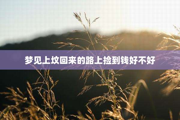 梦见上坟回来的路上捡到钱好不好