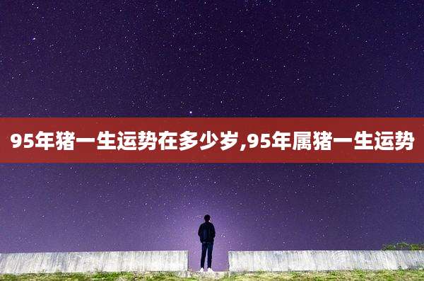 95年猪一生运势在多少岁,95年属猪一生运势