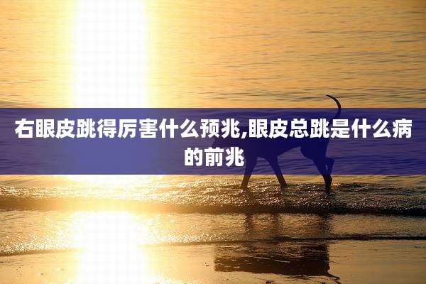右眼皮跳得厉害什么预兆,眼皮总跳是什么病的前兆