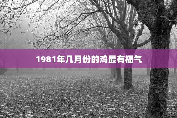 1981年几月份的鸡最有福气